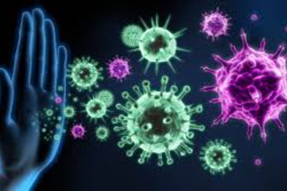 Immune Support
